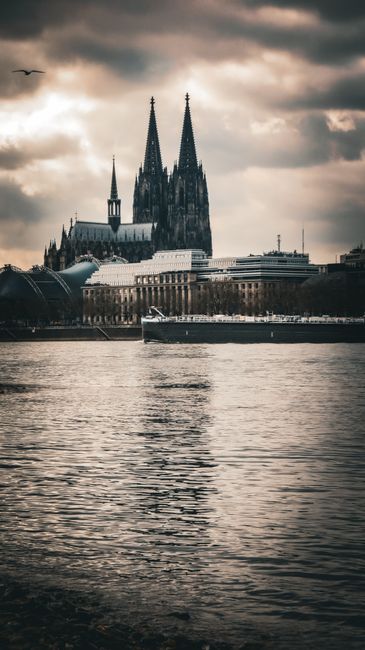 Die Abflussmeister – Rohrreinigung Köln 1 Die Abflussmeister – Rohrreinigung Köln